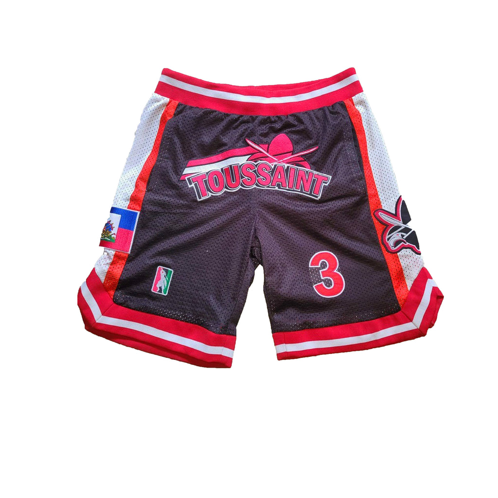 nba shorts with logo on front